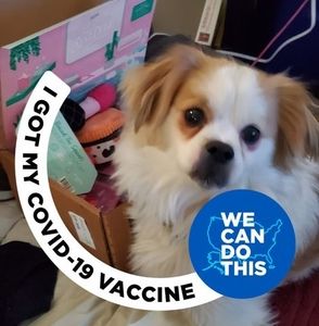 Meet your Posher, Janet